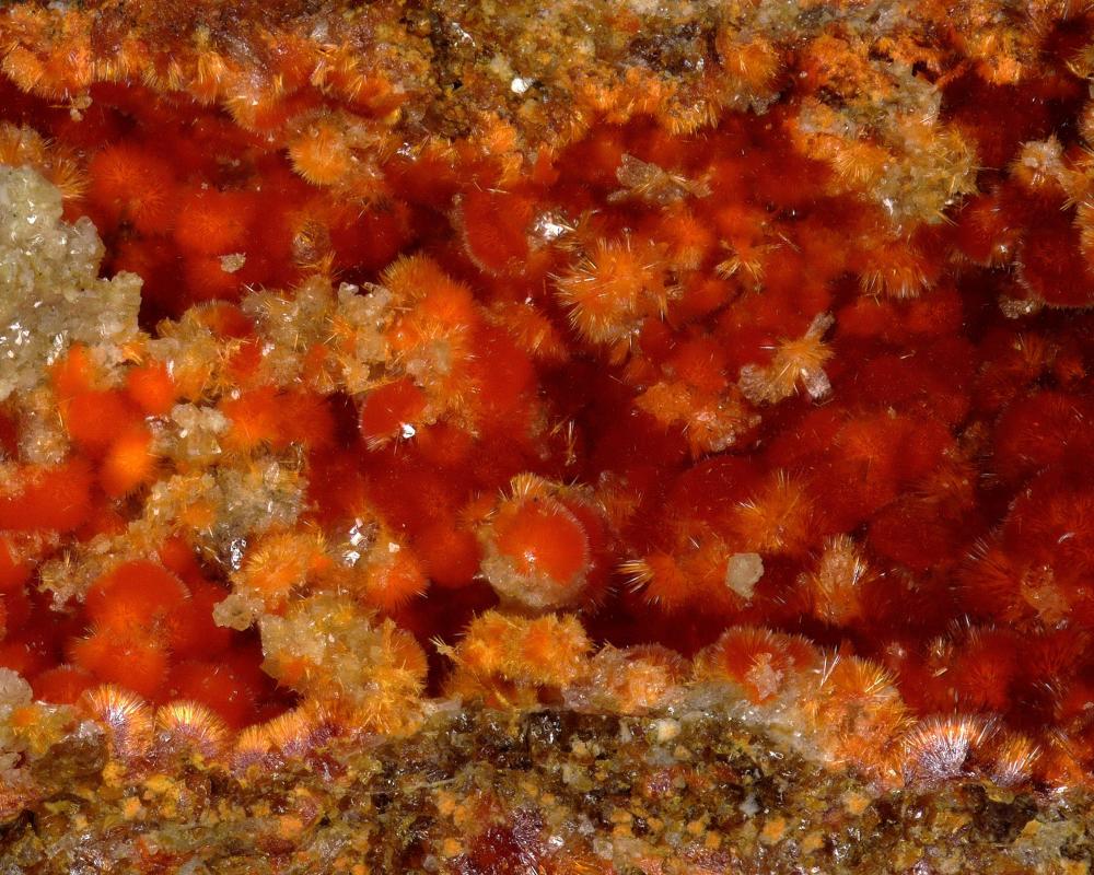 Cetineite